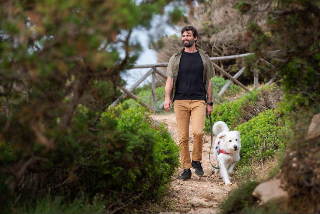 Person walking a white dog on a peaceful forest trail during a mindful morning routine.