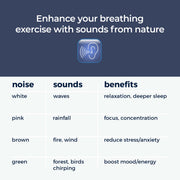 Breathing Buddha - Mindsight