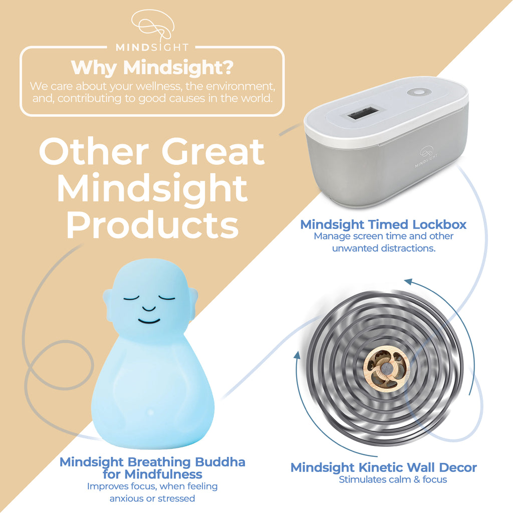 Other great products: Timed Lockbox for focus, Breathing Buddha for mindfulness, and Kinetic Wall Decor for calm