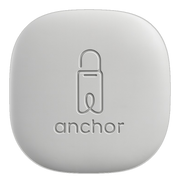Mindsight Anchor