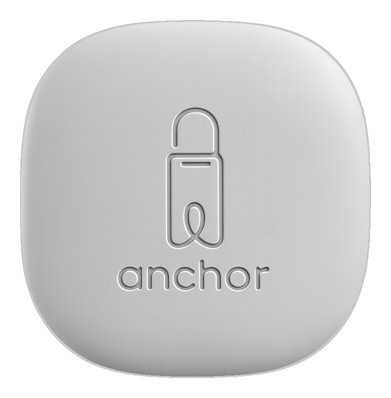 Mindsight Anchor